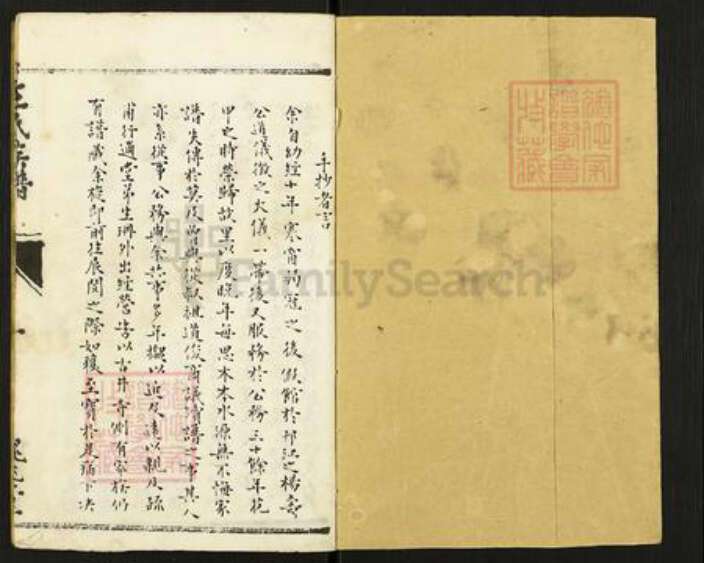 江苏省扬州市仪征市大仪镇王氏槐兆堂族谱-王氏族谱.pdf电子版预览图1