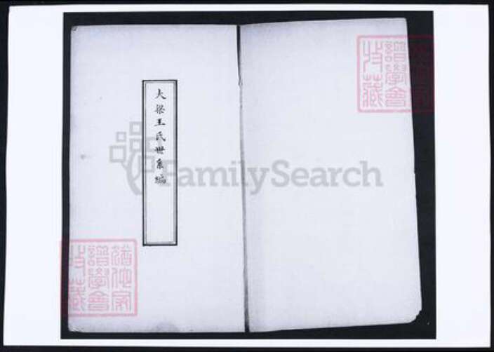 河南省开封市开封王氏族谱-大梁王氏宗谱.pdf电子版预览图1