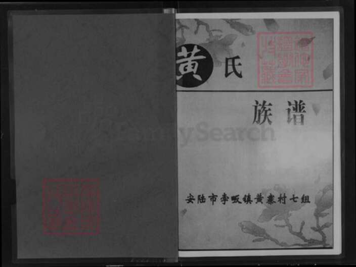 湖北省孝感市安陆市孛畈镇黄氏族谱-黄氏族谱.pdf电子版预览图1