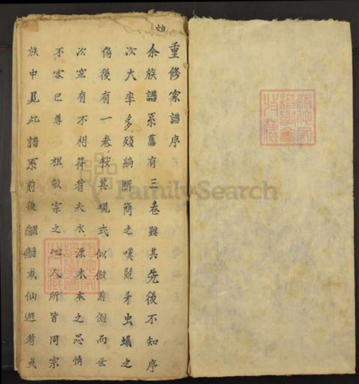 山西省王氏族谱-王氏宗谱.pdf电子版预览图1