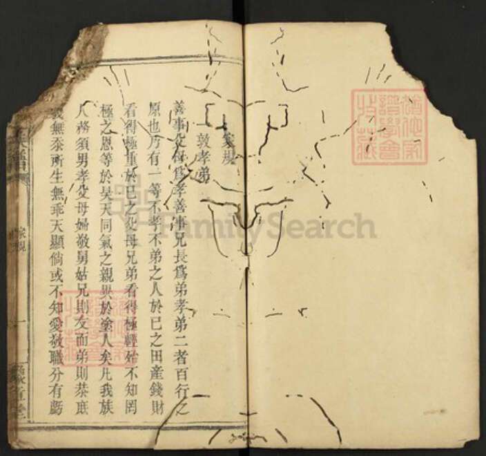 江西省罗氏族谱-罗氏族谱.pdf电子版预览图1