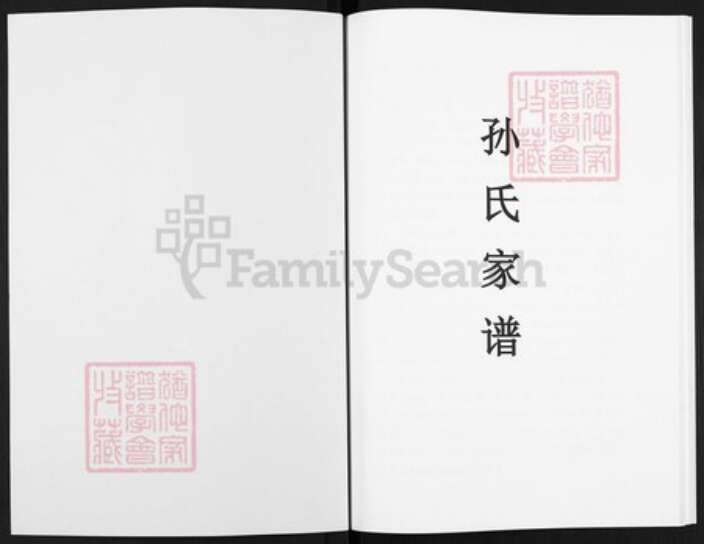 河南省濮阳市华龙区河南省濮阳市濮阳县文留镇孙；孙氏族谱-孙氏家谱.pdf电子版预览图1