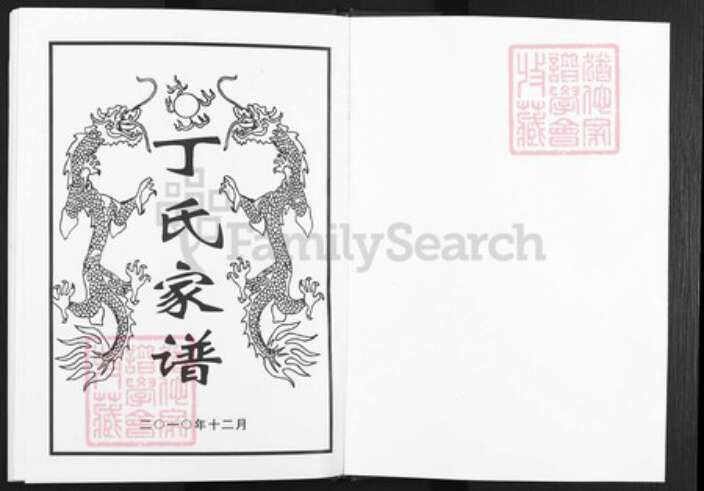 四川省遂宁市蓬溪县湖南省丁氏族谱-丁氏家谱.pdf电子版预览图1