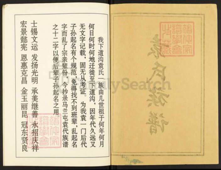 山东省枣庄市市中区孟庄镇袁氏族谱-袁氏族谱.pdf电子版预览图1