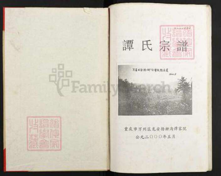 重庆市万州万县龙驹镇谭氏族谱-谭氏宗谱.pdf电子版预览图1