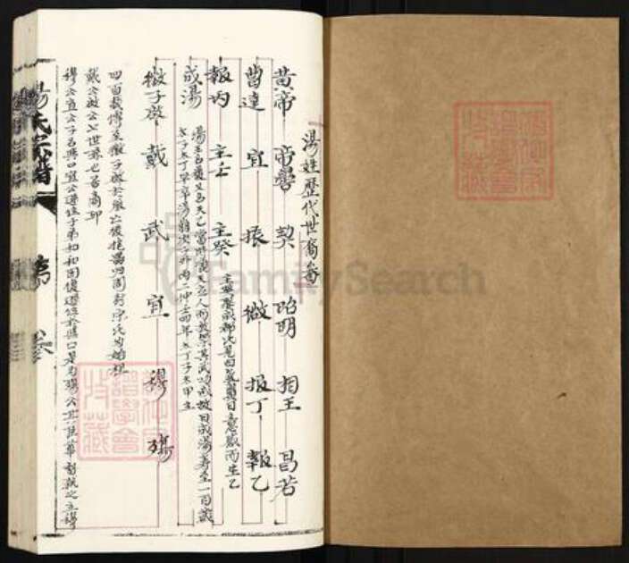 浙江省丽水市青田县汤氏族谱-汤氏宗谱.pdf电子版预览图1