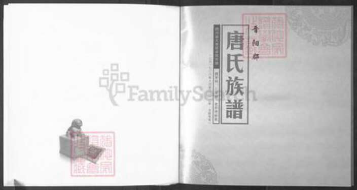 四川省遂宁市大英县唐氏族谱-唐氏族谱.pdf电子版预览图1