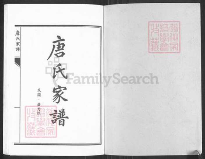 湖南省永州市零陵区唐氏族谱-唐氏家谱.pdf电子版预览图1