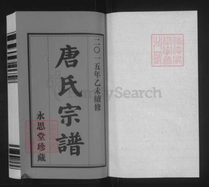 浙江省台州市玉环市坎门街道唐氏永思堂族谱-唐氏宗谱.南津下支.湖沙头支.pdf电子版预览图1
