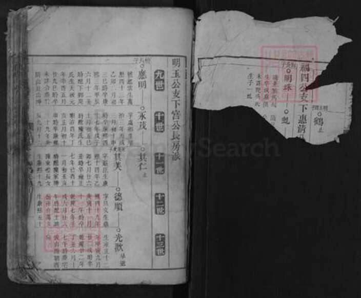 安徽省安庆市桐城市唐氏族谱-皖桐唐氏六修宗谱.pdf电子版预览图1