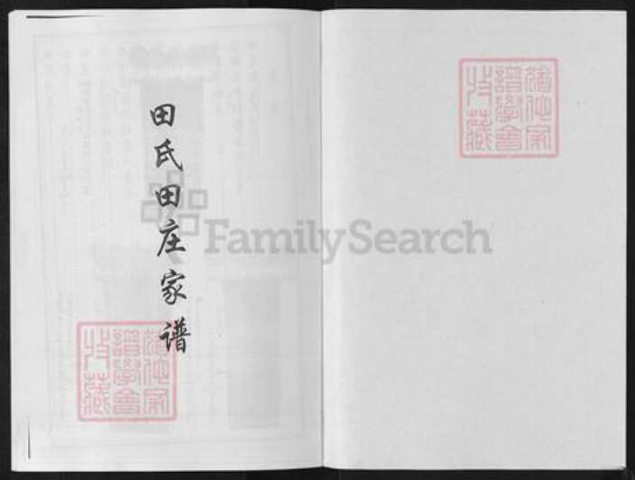 山东省淄博市淄川区田氏族谱-田氏田庄家谱.pdf电子版预览图1