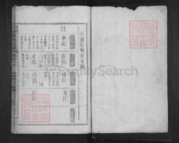 山东省临沂市临沂市王氏族谱-琅琊王氏宗谱.pdf电子版预览图1