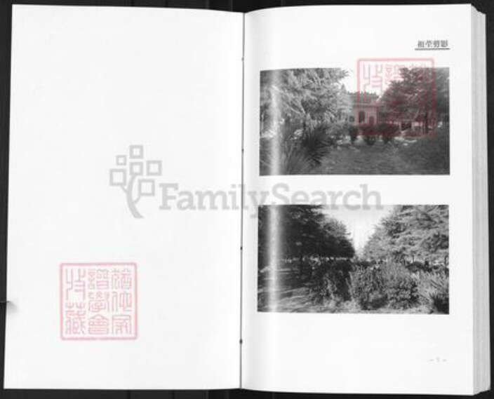 河南省开封市通许县王氏族谱-赵辉三槐王氏家谱.pdf电子版预览图1