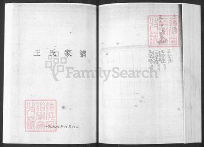 山东省烟台市栖霞市王氏族谱-山东栖霞邵庄泥都村王世家谱.pdf电子版预览图1