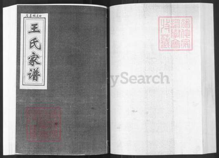 山东省烟台市栖霞市王氏族谱-王氏家谱.pdf电子版预览图1