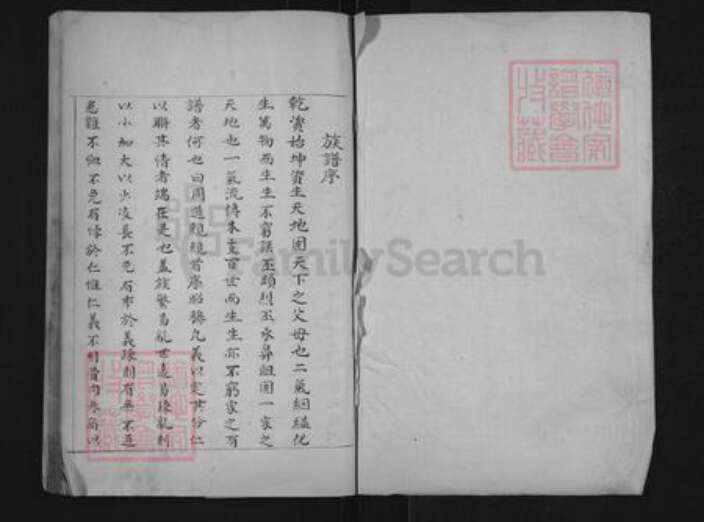 山东省滨州市惠民县李庄镇王氏族谱-王氏世谱.pdf电子版预览图1