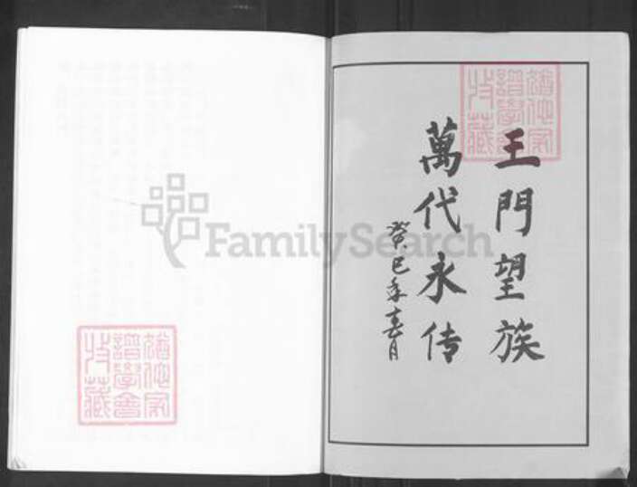 山东省淄博市沂源县中庄镇王氏族谱-王氏家谱.pdf电子版预览图1