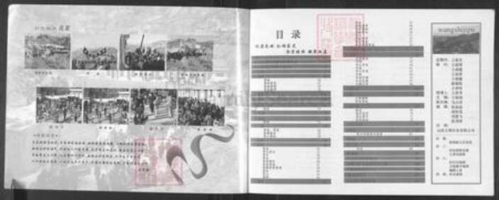 山西省吕梁市柳林县孟门镇王氏族谱-王氏家谱.pdf电子版预览图1