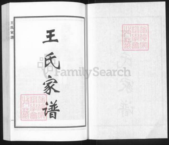 河北省沧州黄骅市旧城镇王氏族谱-王氏家谱.pdf电子版预览图1