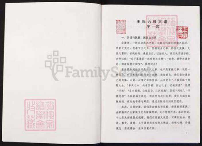 重庆市石砫土家族自治县王氏族谱-中华民族太原王氏族谱.pdf电子版预览图1