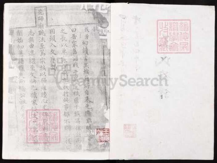 四川省遂宁市王氏族谱-王氏族谱.pdf电子版预览图1