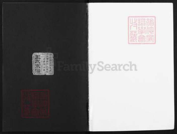 山西省太原市王氏族谱-王氏宗谱.pdf电子版预览图1