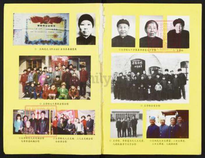 山西省吕梁市汾阳市王氏族谱-王氏家谱.pdf电子版预览图1