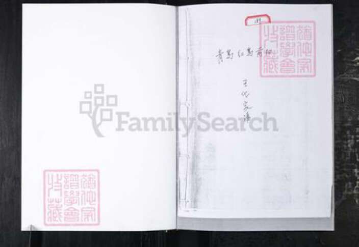 山东省青岛市城阳区王氏族谱-王氏家谱.城阳区红岛前阳村.pdf电子版预览图1