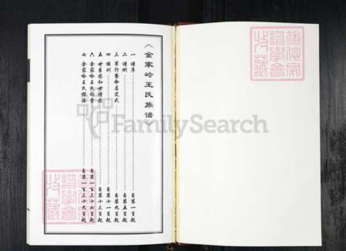 山东省青岛市王氏族谱-金家岭王氏族谱.pdf电子版预览图1