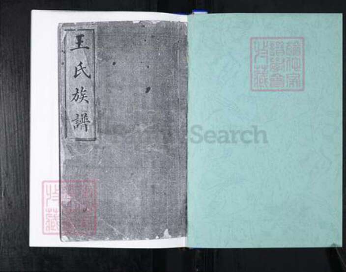 山东省青岛市崂山区王氏族谱-车家下庄王氏族谱.pdf电子版预览图1