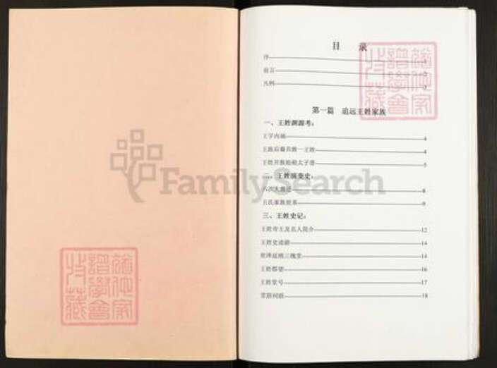 江苏省扬州市仪征市大仪镇王氏三槐堂族谱-王氏家谱.pdf电子版预览图1