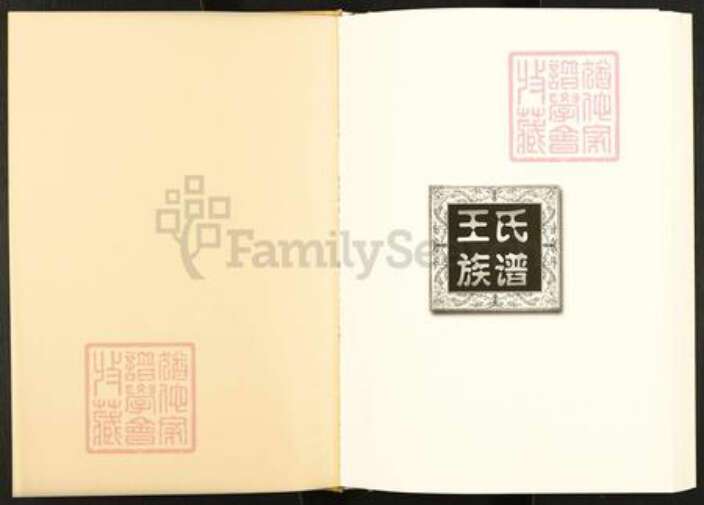 四川省南充市仪陇县日兴镇王氏三槐堂族谱-王氏族谱.pdf电子版预览图1