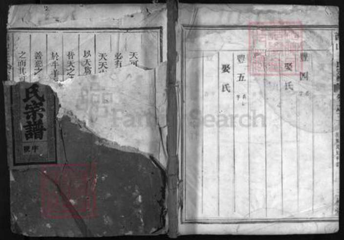 浙江省王氏族谱-西山王氏宗谱 [3卷].pdf电子版预览图1