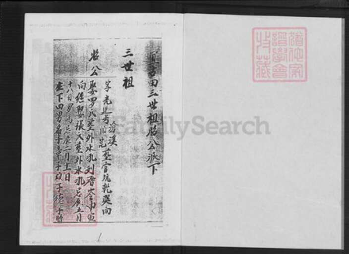 福建省漳州市平和县大溪镇陈氏树德堂族谱-颍川陈氏族谱.pdf电子版预览图1