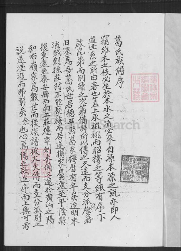 山东省泰安市肥城市葛氏族谱-葛氏族谱.pdf电子版预览图1