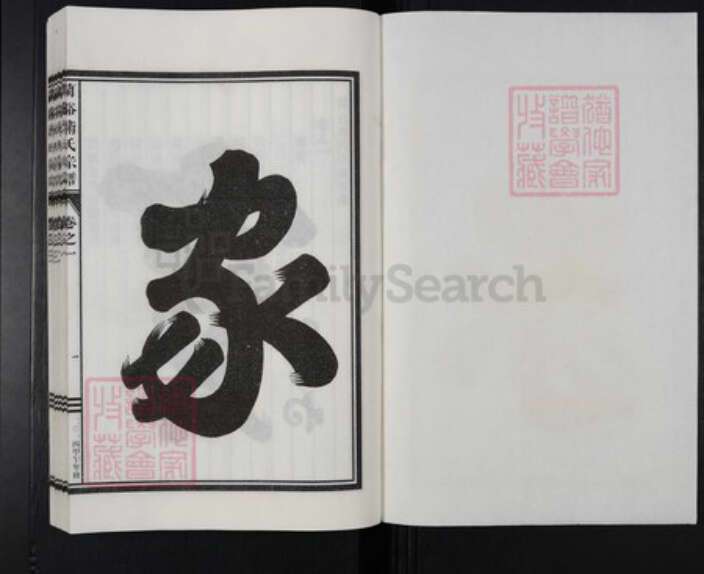 浙江省金华市兰溪市卫氏族谱-兰溪卫氏宗谱.pdf电子版预览图1