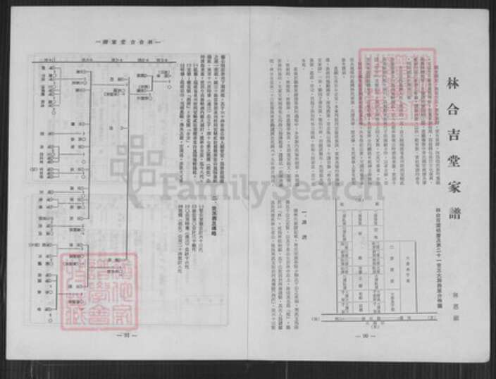 台湾高雄市湖内区林氏合吉堂族谱-林合吉堂家谱.pdf电子版预览图1