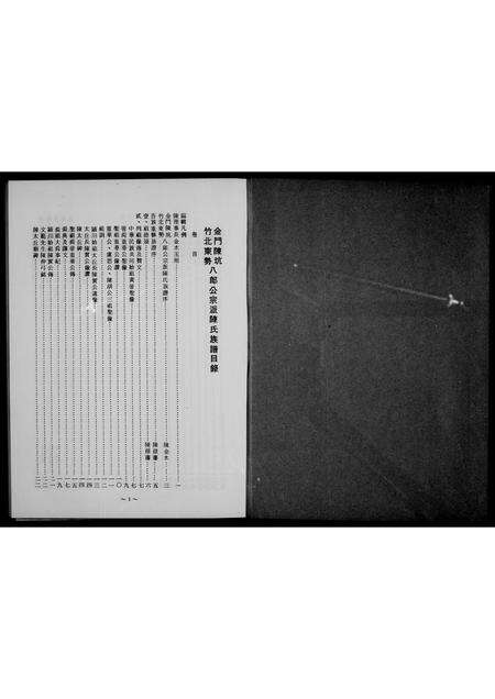 福建陈氏族谱-金门陈坑竹北东势八郎公宗派陈氏族谱.pdf电子版预览图1