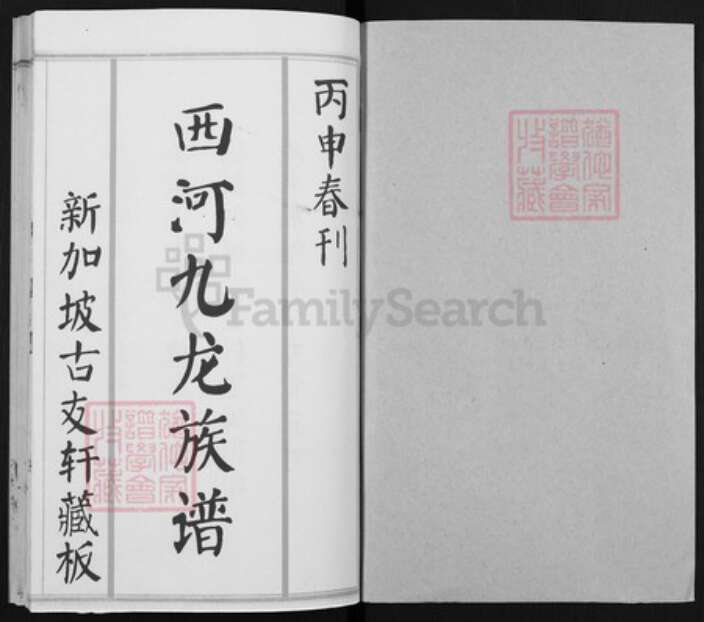 福建省莆田市荔城区林氏至善堂族谱-西河九龙林氏族谱.pdf电子版预览图1