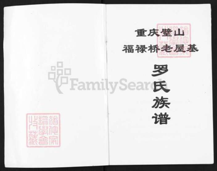 重庆市璧山区福禄镇罗氏族谱-罗氏族谱.pdf电子版预览图1