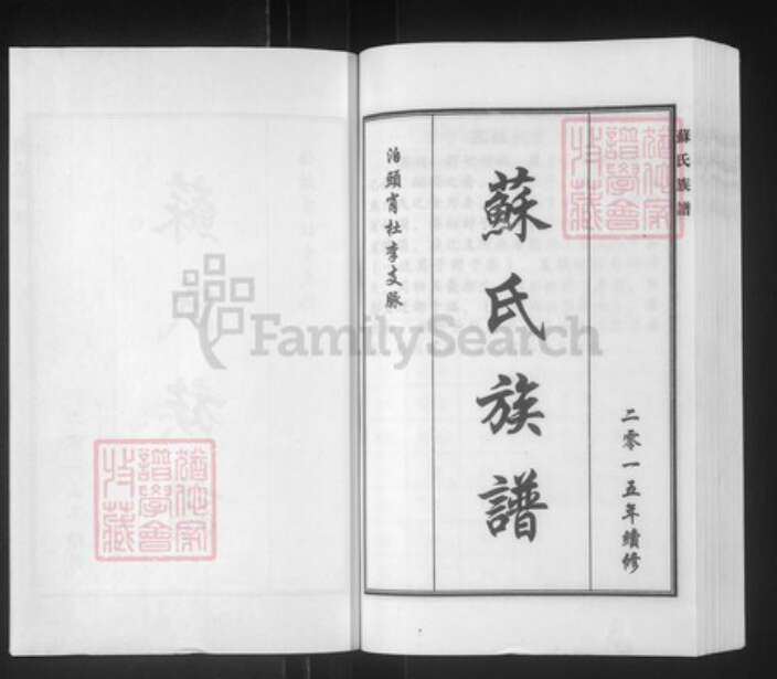 河北省沧州泊头市泊镇镇苏氏族谱-苏氏族谱.pdf电子版预览图1