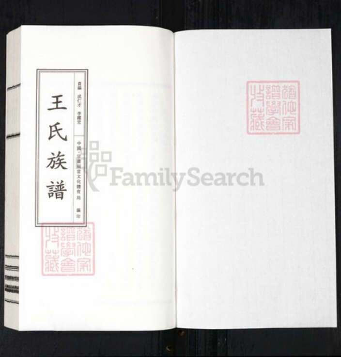 江西省九江市德安县王氏三槐堂族谱-王氏族谱.pdf电子版预览图1