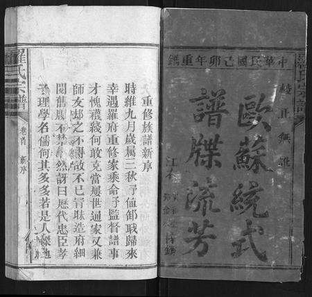 福建罗氏族谱-罗氏宗谱[9卷首1卷].pdf电子版预览图1