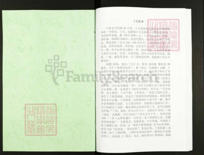 山东省日照市丁氏族谱-丁氏族谱.pdf电子版预览图1