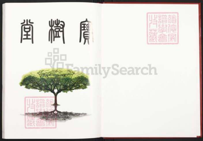 湖南省衡阳市耒阳市新市镇谢氏宝树堂族谱-宝庆大东路谢氏通修族谱.pdf电子版预览图1