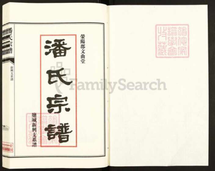 江苏省盐城市亭湖区新兴镇潘氏文曲堂族谱-潘氏宗谱.盐城新兴支系谱.pdf电子版预览图1