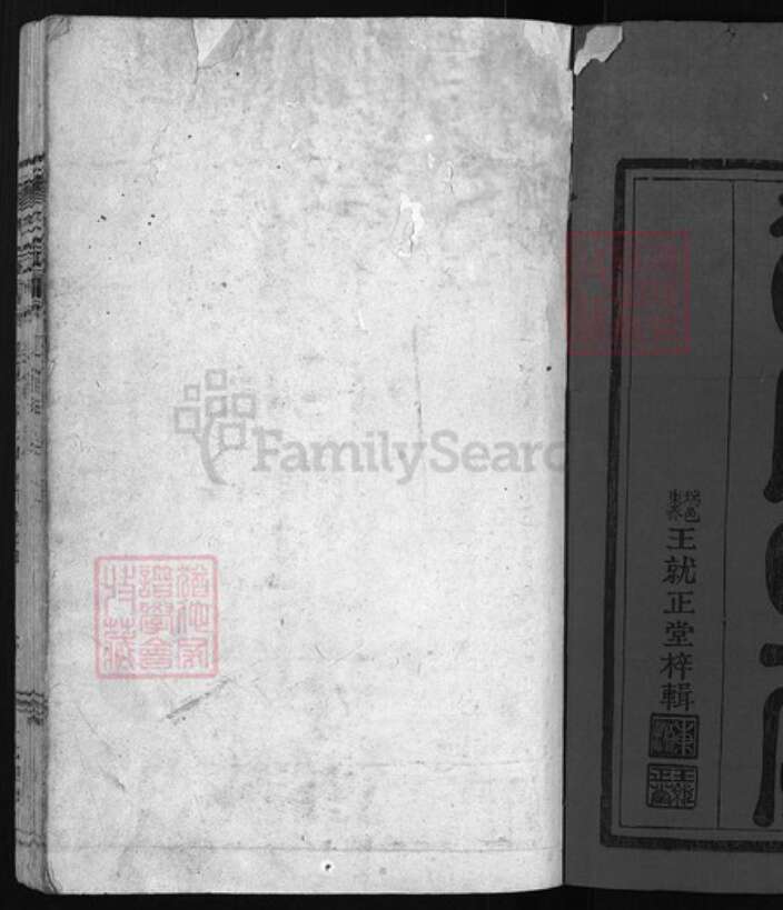 浙江省温州市平阳县廖氏族谱-廖氏宗谱 [残卷].pdf电子版预览图1