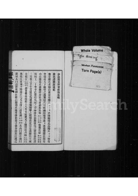 福建罗氏族谱-罗氏族谱.pdf电子版预览图1