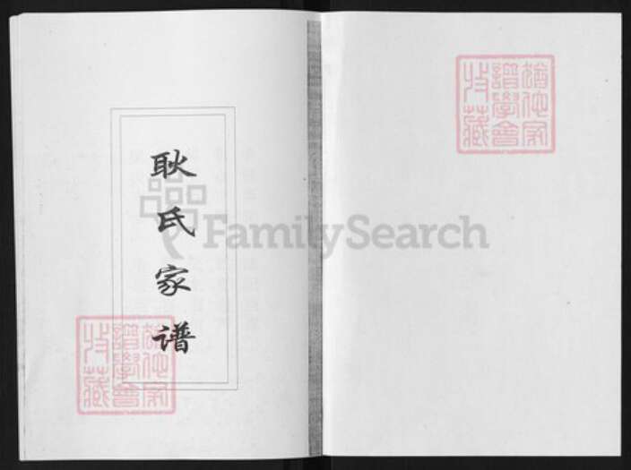 山东省淄博市淄川区耿氏族谱-耿氏家谱.pdf电子版预览图1