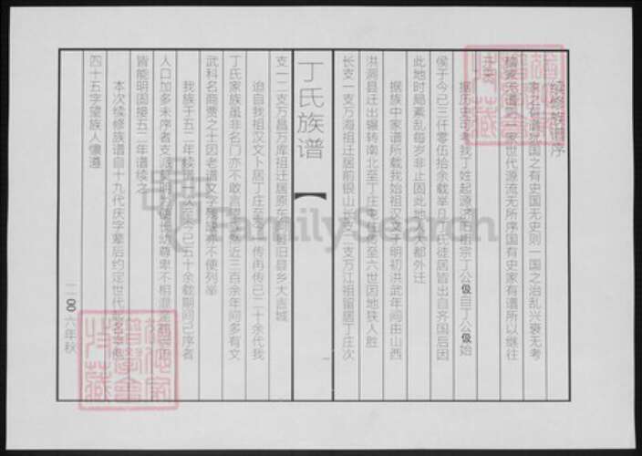 山东省聊城市东阿县山东省泰安市丁氏族谱-丁氏续修族谱.pdf电子版预览图1